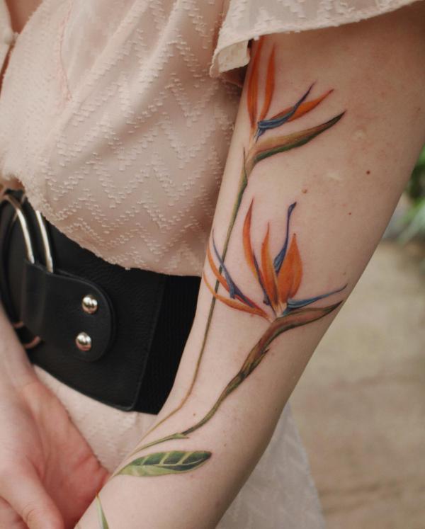 Bird of Paradise Tattoo: Embodying Exotic Beauty and Freedom