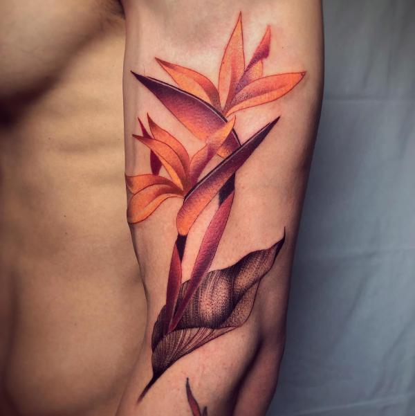 Bird of Paradise Tattoo: Embodying Exotic Beauty and Freedom