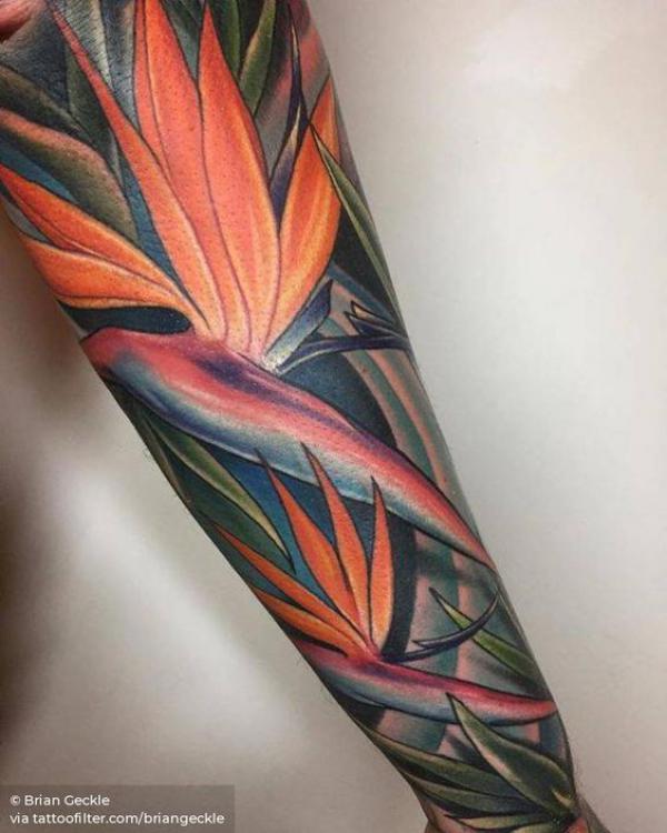 Bird of Paradise Tattoo: Embodying Exotic Beauty and Freedom