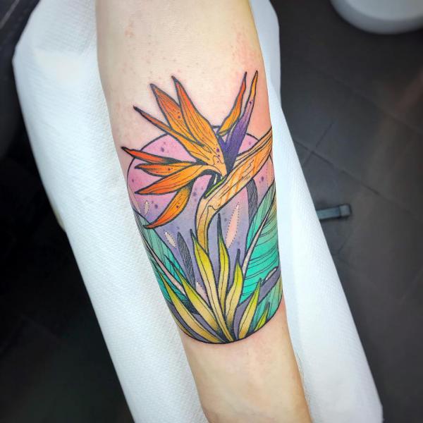 Bird of Paradise Tattoo: Embodying Exotic Beauty and Freedom
