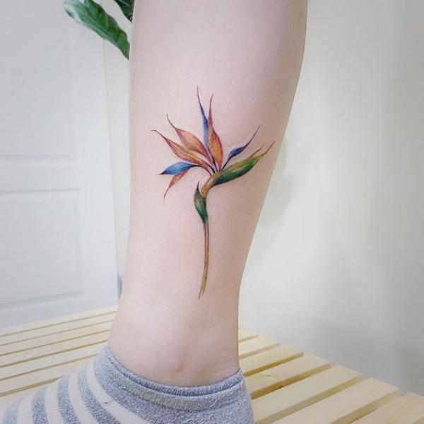 Bird of Paradise Tattoo: Embodying Exotic Beauty and Freedom