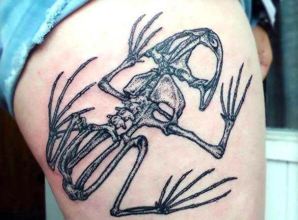 Frog Tattoo: Meaning, Designs and Styles