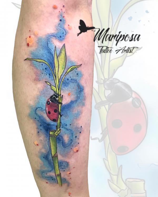 60+ ladybug tattoo Designs with Meanings