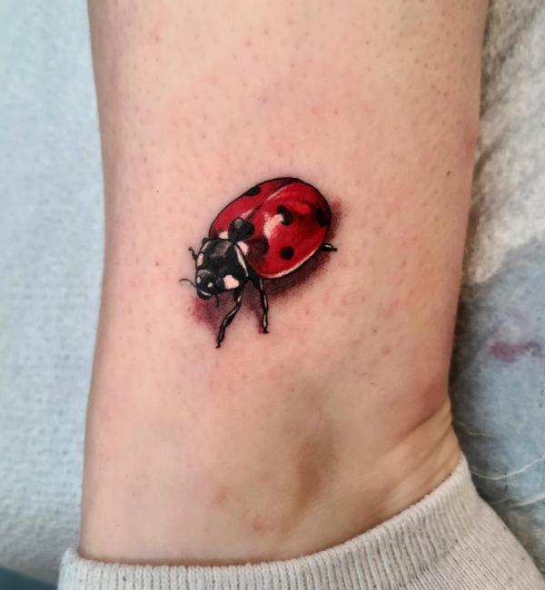 60+ ladybug tattoo Designs with Meanings