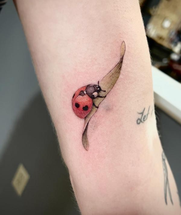 60+ ladybug tattoo Designs with Meanings