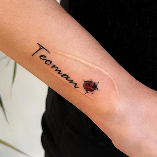 60+ ladybug tattoo Designs with Meanings