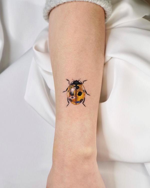 60+ ladybug tattoo Designs with Meanings