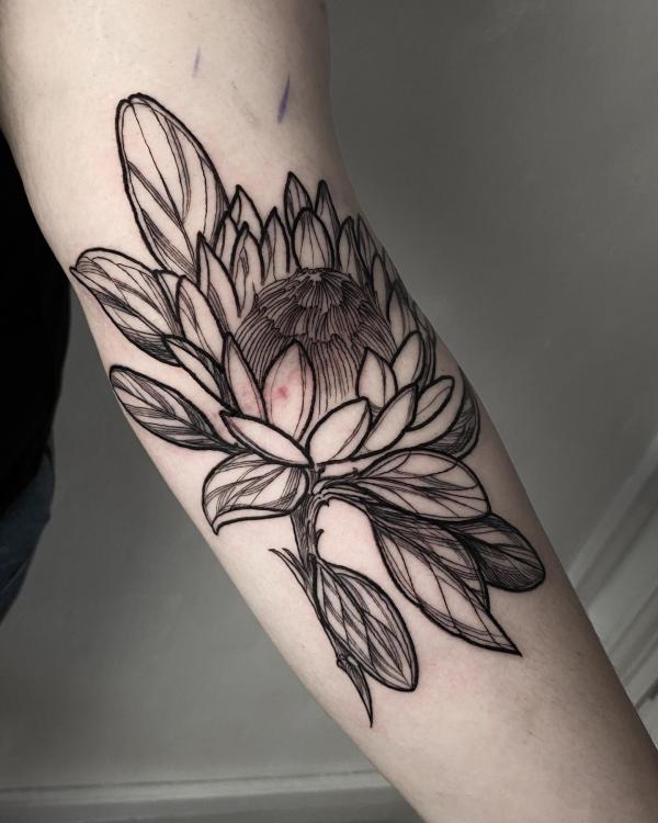 30 Beautiful Protea Tattoo Designs with Meaning