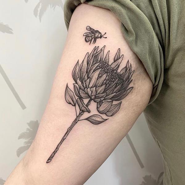 30 Beautiful Protea Tattoo Designs with Meaning