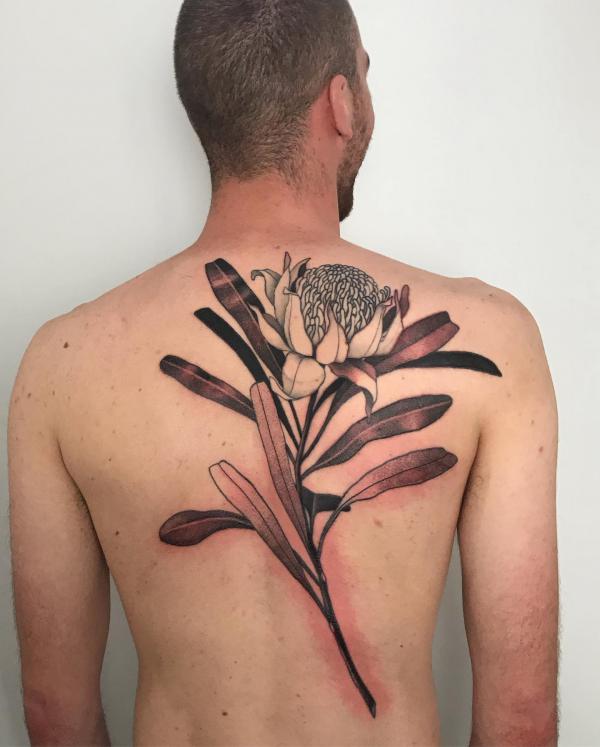 30 Beautiful Protea Tattoo Designs with Meaning