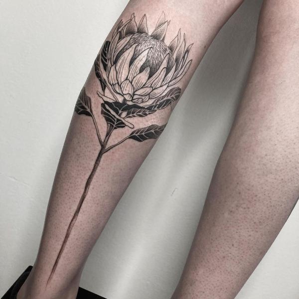 30 Beautiful Protea Tattoo Designs with Meaning