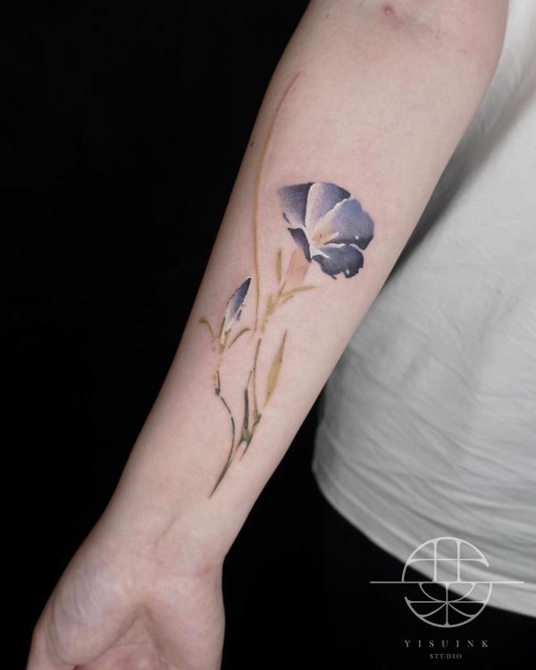 20 Morning Glory Tattoo Designs with Meaning
