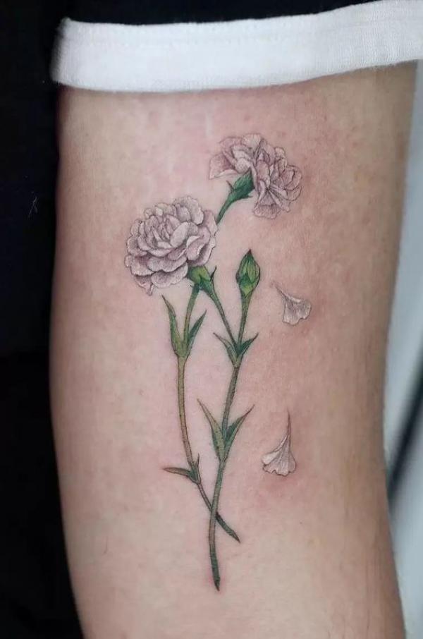 40+ Carnation Tattoo Designs with Meaning