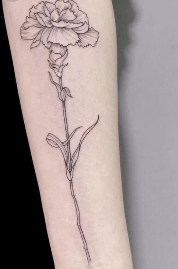 40+ Carnation Tattoo Designs with Meaning