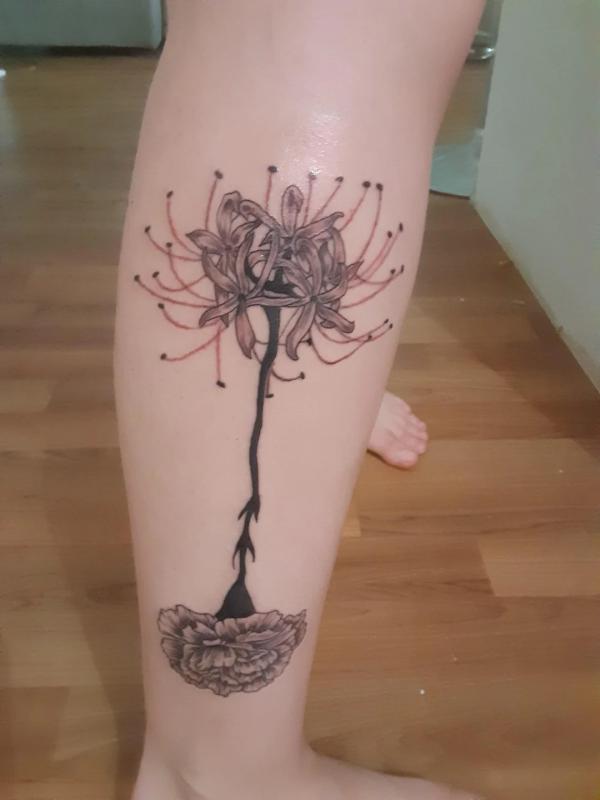40+ Carnation Tattoo Designs with Meaning