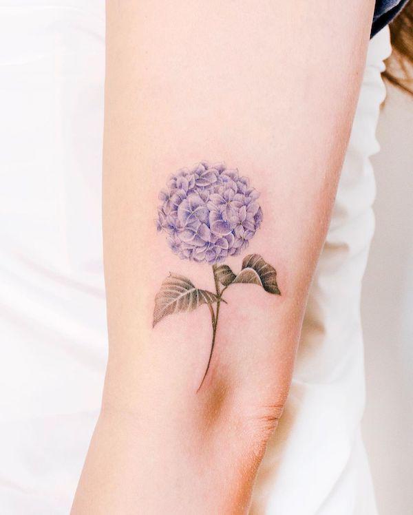 50 Hydrangea Tattoo Designs with Meanings