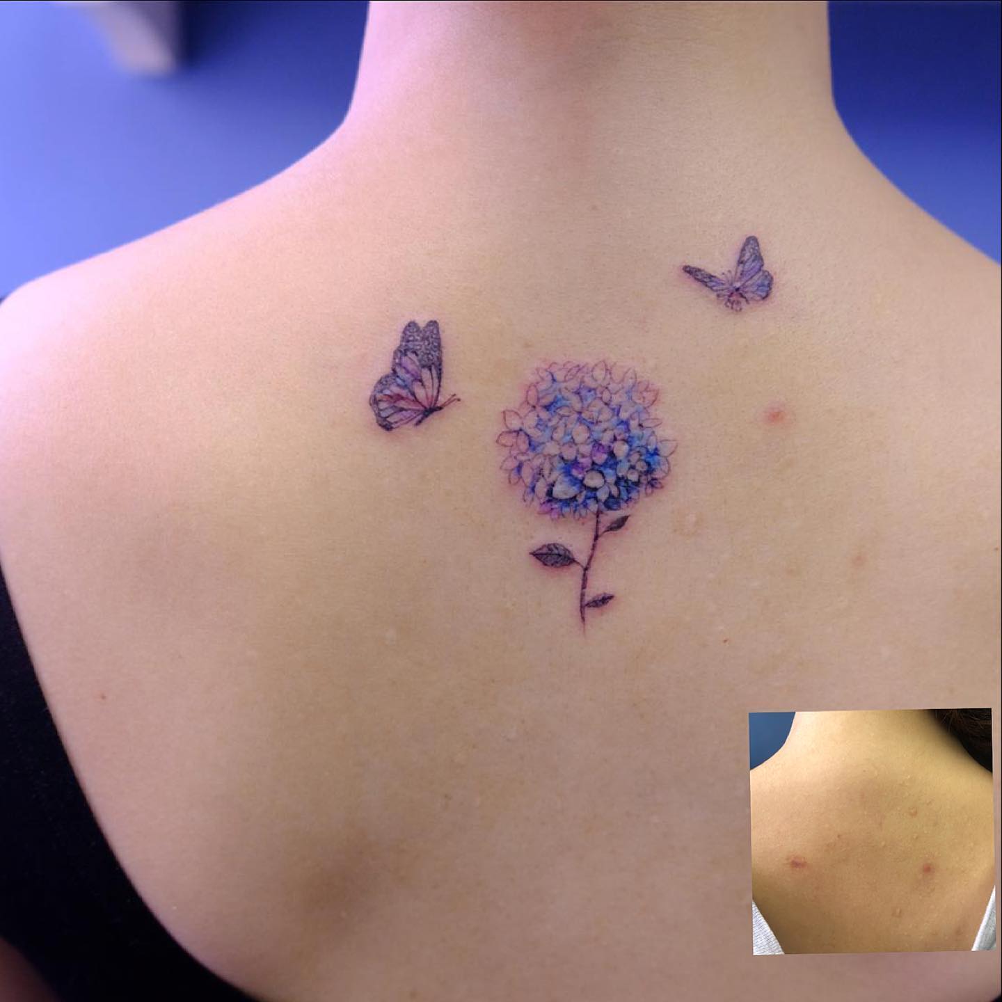 50 Hydrangea Tattoo Designs with Meanings