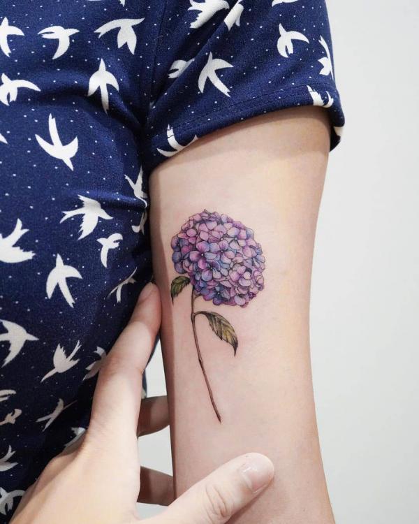 50 Hydrangea Tattoo Designs with Meanings
