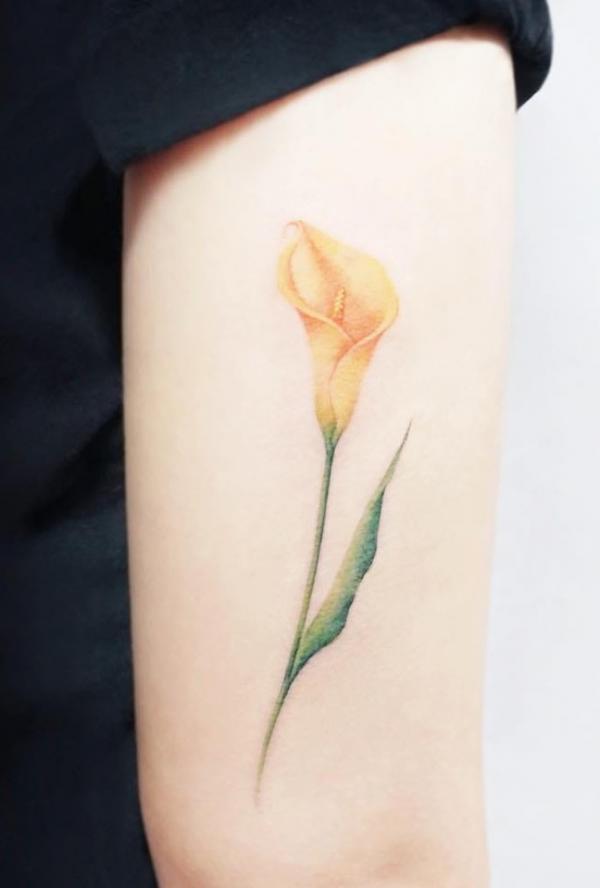 40 Calla Lily Tattoo Designs with Meaning