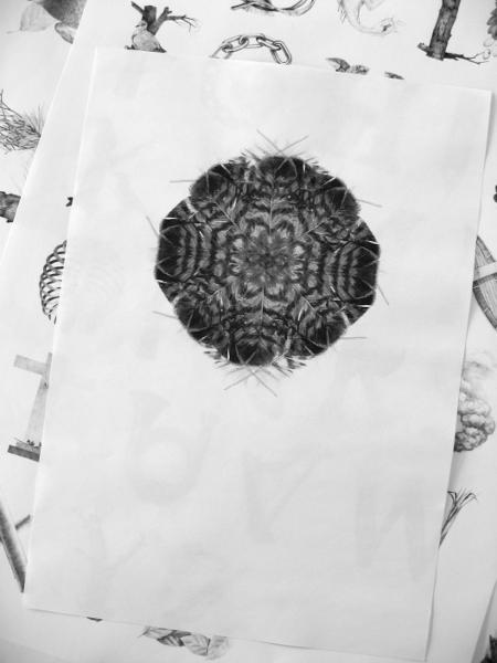 Typography by Jakub Konvica