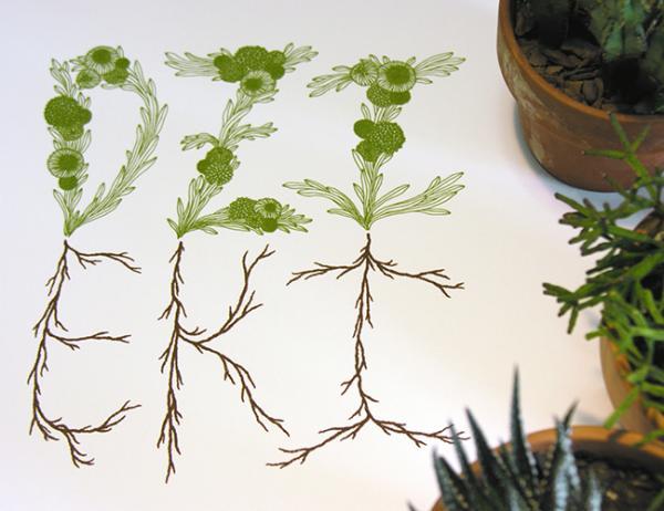 Typography by Sasha Prood