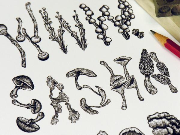 Typography by Sasha Prood