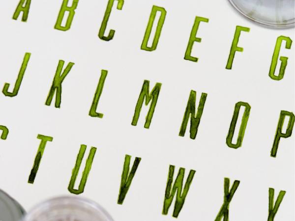 Typography by Sasha Prood