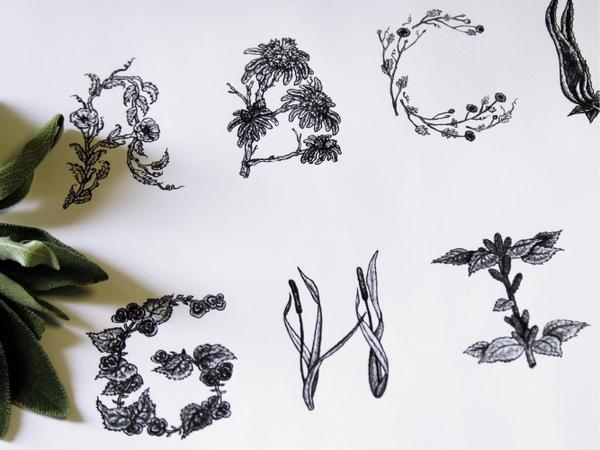Typography by Sasha Prood