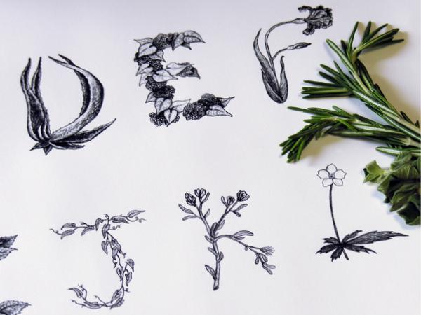 Typography by Sasha Prood