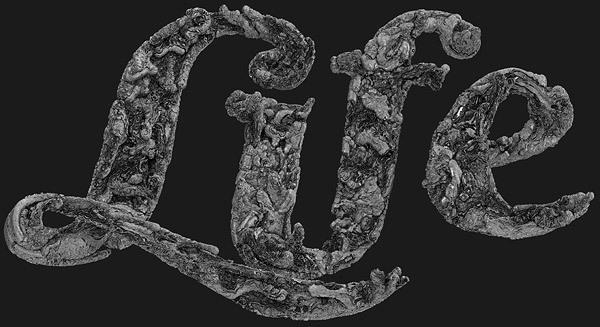 Typography by David McLeod