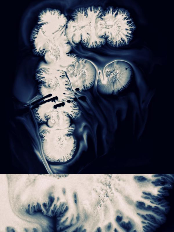 Typography by Ruslan Khasanov