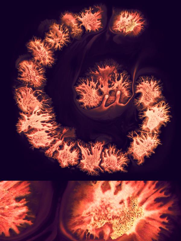 Typography by Ruslan Khasanov