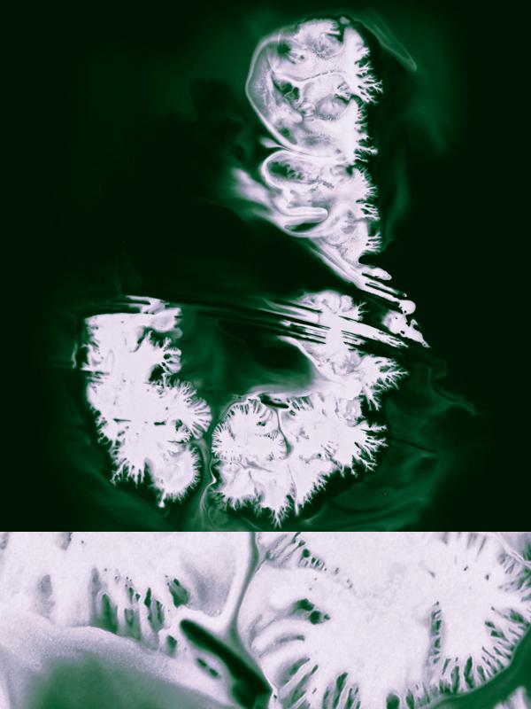 Typography by Ruslan Khasanov