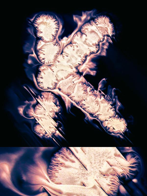 Typography by Ruslan Khasanov