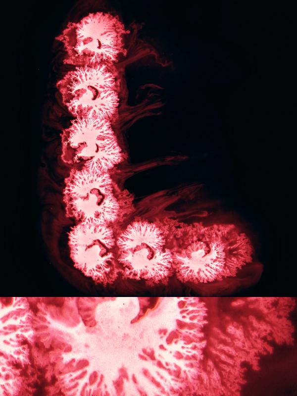 Typography by Ruslan Khasanov