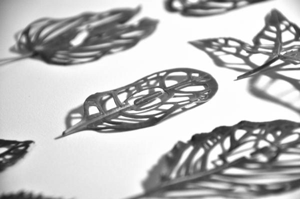 Leaf Type - Mei Lin Chan
