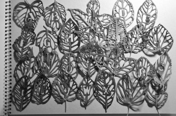 Leaf Type - Mei Lin Chan
