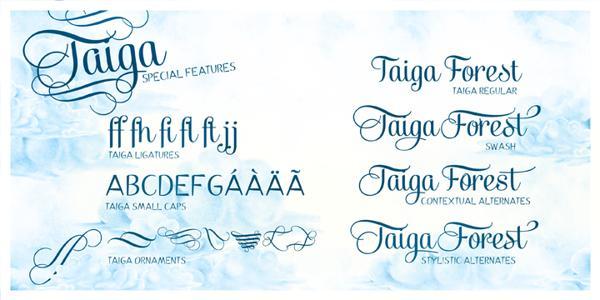 Typography by Emil Bertell