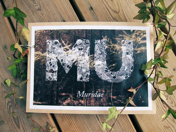 Muridae Typeface by Mari Drivdal Lie