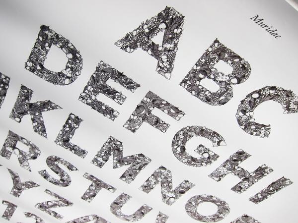 Muridae Typeface by Mari Drivdal Lie
