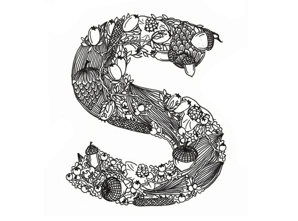 Muridae Typeface by Mari Drivdal Lie