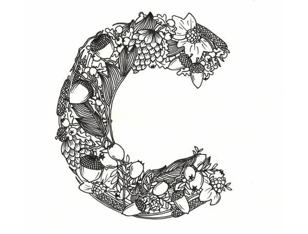 Muridae Typeface by Mari Drivdal Lie