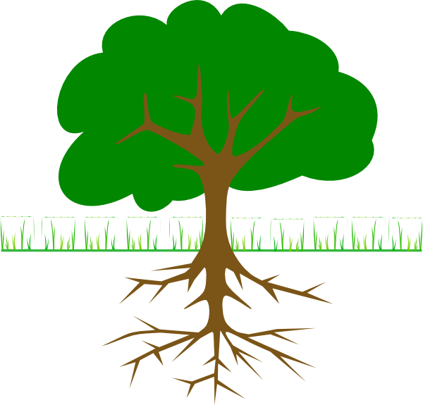 50 Inspiring Tree Logo Designs