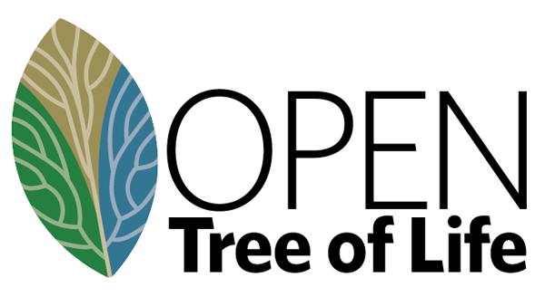 50 Inspiring Tree Logo Designs