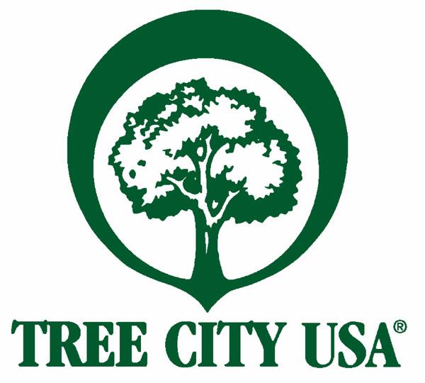 50 Inspiring Tree Logo Designs