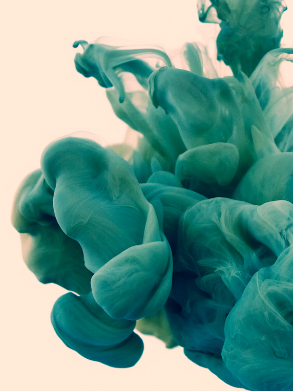 Disastro Ecologico by Alberto Seveso