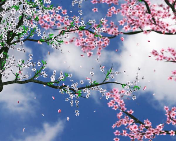 50 Examples of Cool Backgrounds