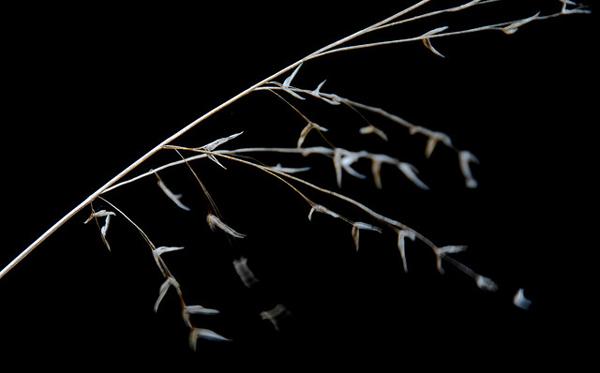 50 Dark Black Backgrounds