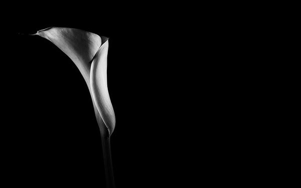 50 Dark Black Backgrounds