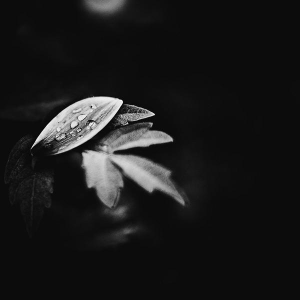 50 Dark Black Backgrounds